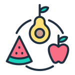 fruits